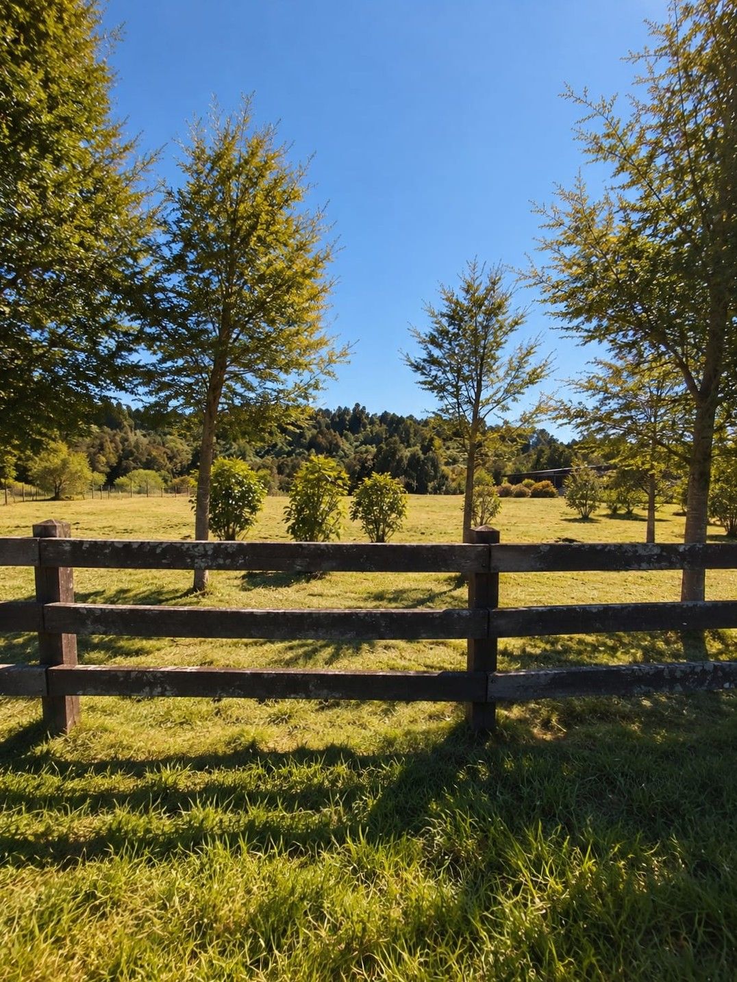 Se vende parcela en Puerto Varas 1580 — foto 12