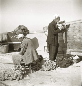 Building the ships at Jaffa.