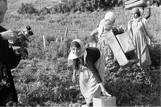 Agriculture by Lake Tiberias