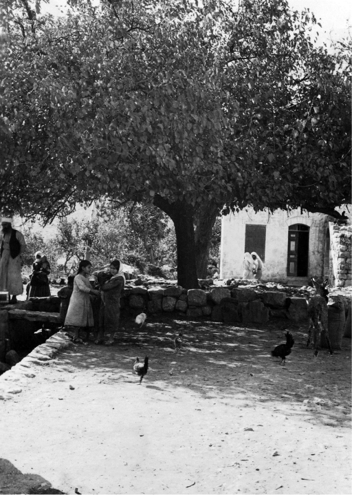 General View of displaced village Dire Yassin, 1907