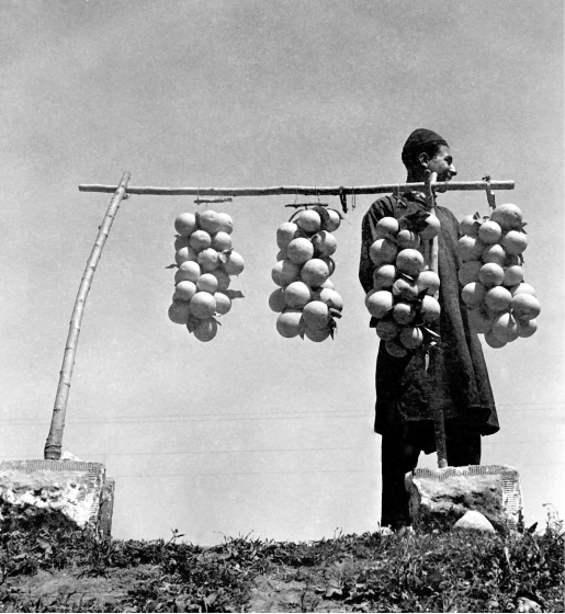 Jaffa oranges seller, 1940