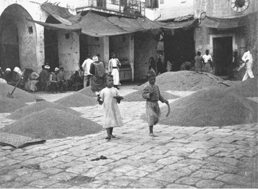 Wheat harvest displayed in market in Haifa, 1900