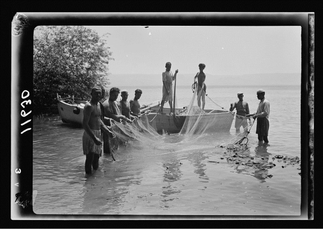 Fishing with drag net in Tiberias. July 1940.