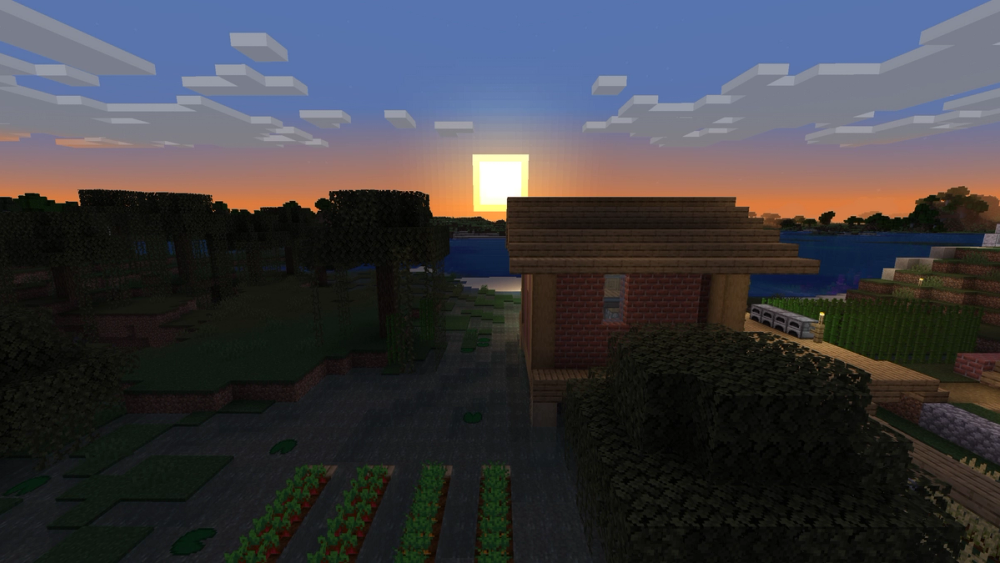 Swamp sundown