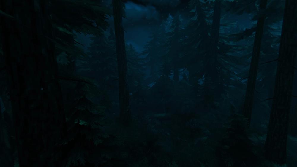 Dark forest vibes
