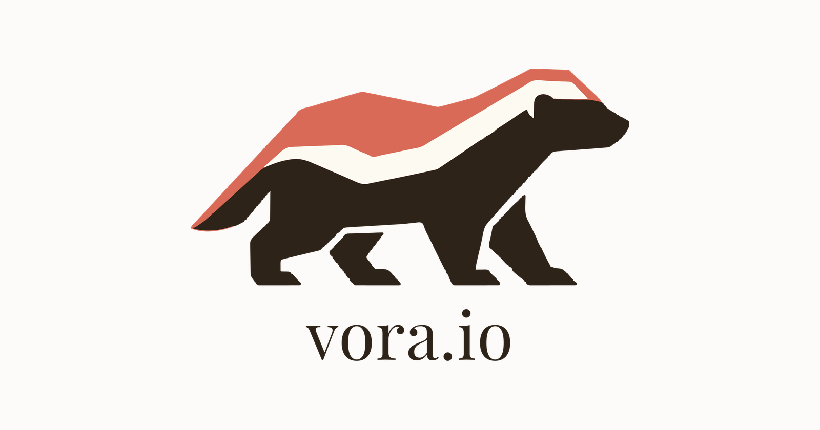 What Vora Is