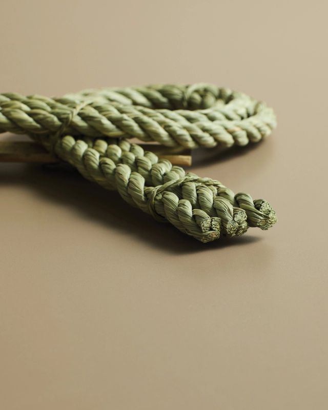 Rush grass art piece