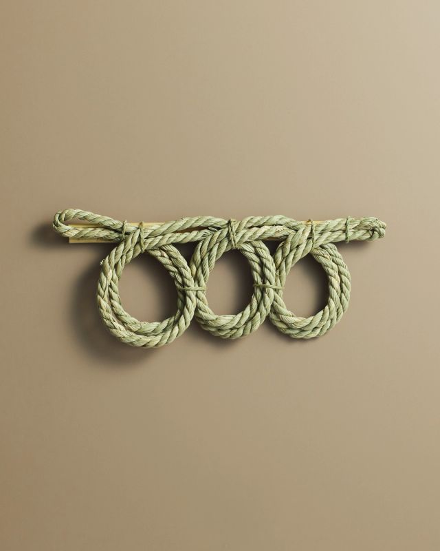Rush grass art piece