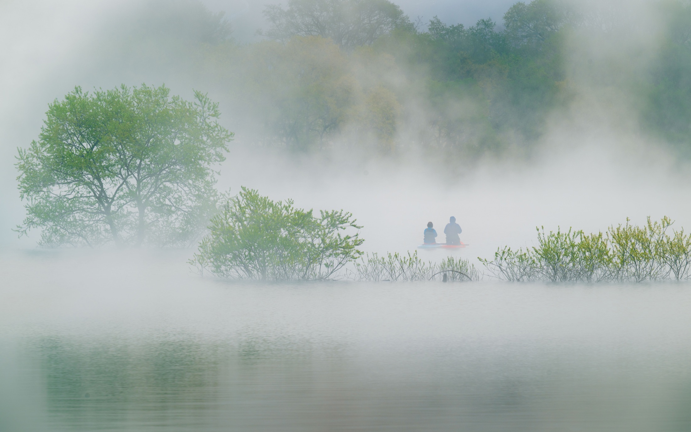 Deux voyageurs avancent en canoë entre les arbres d’un lac noyé dans la brume.