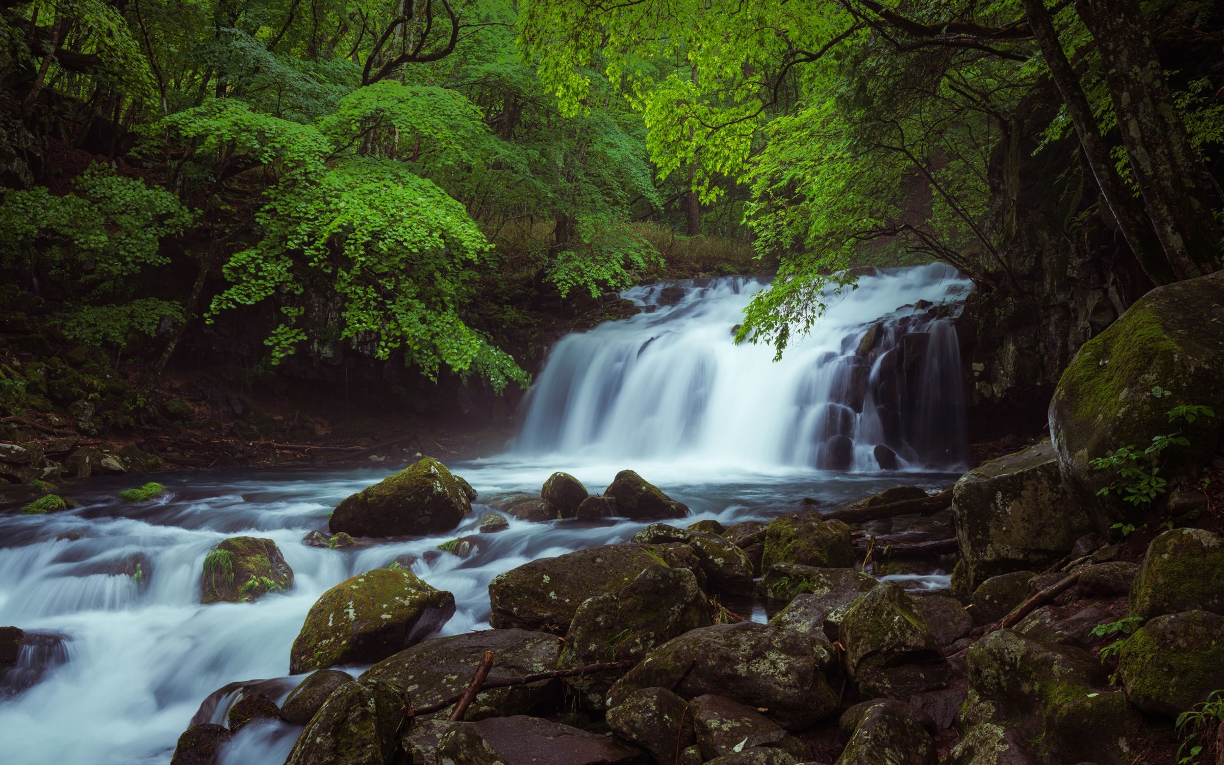 Une large cascade traverse une forêt dense au début de l’été japonais.