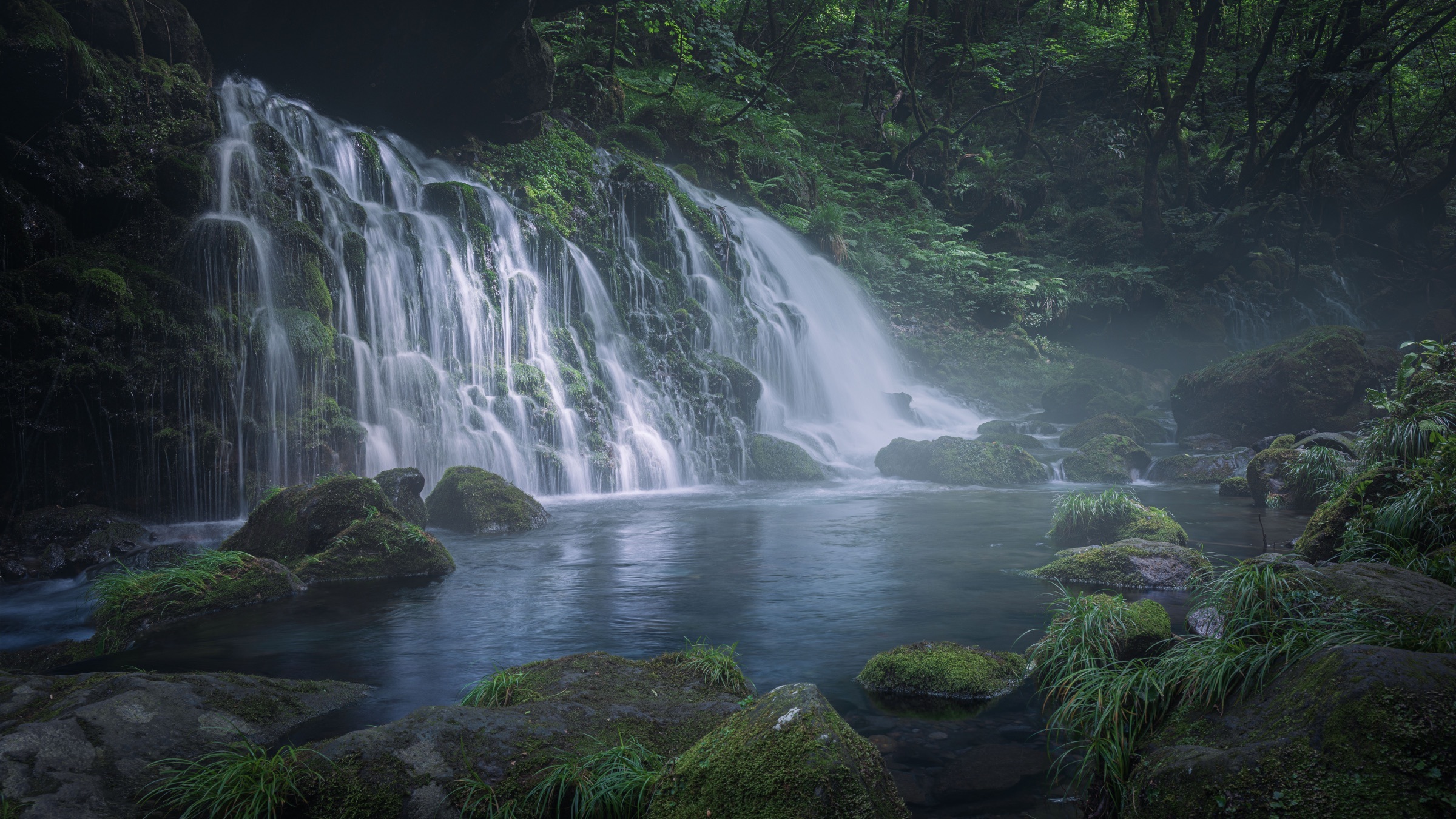 Profondeur verte, Akita