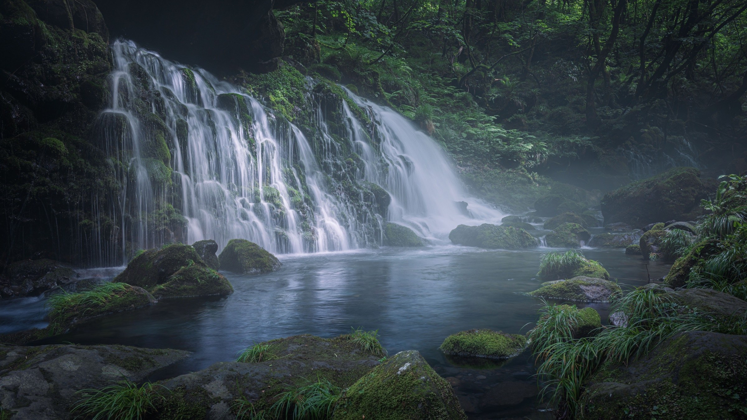 Profondeur verte, Akita