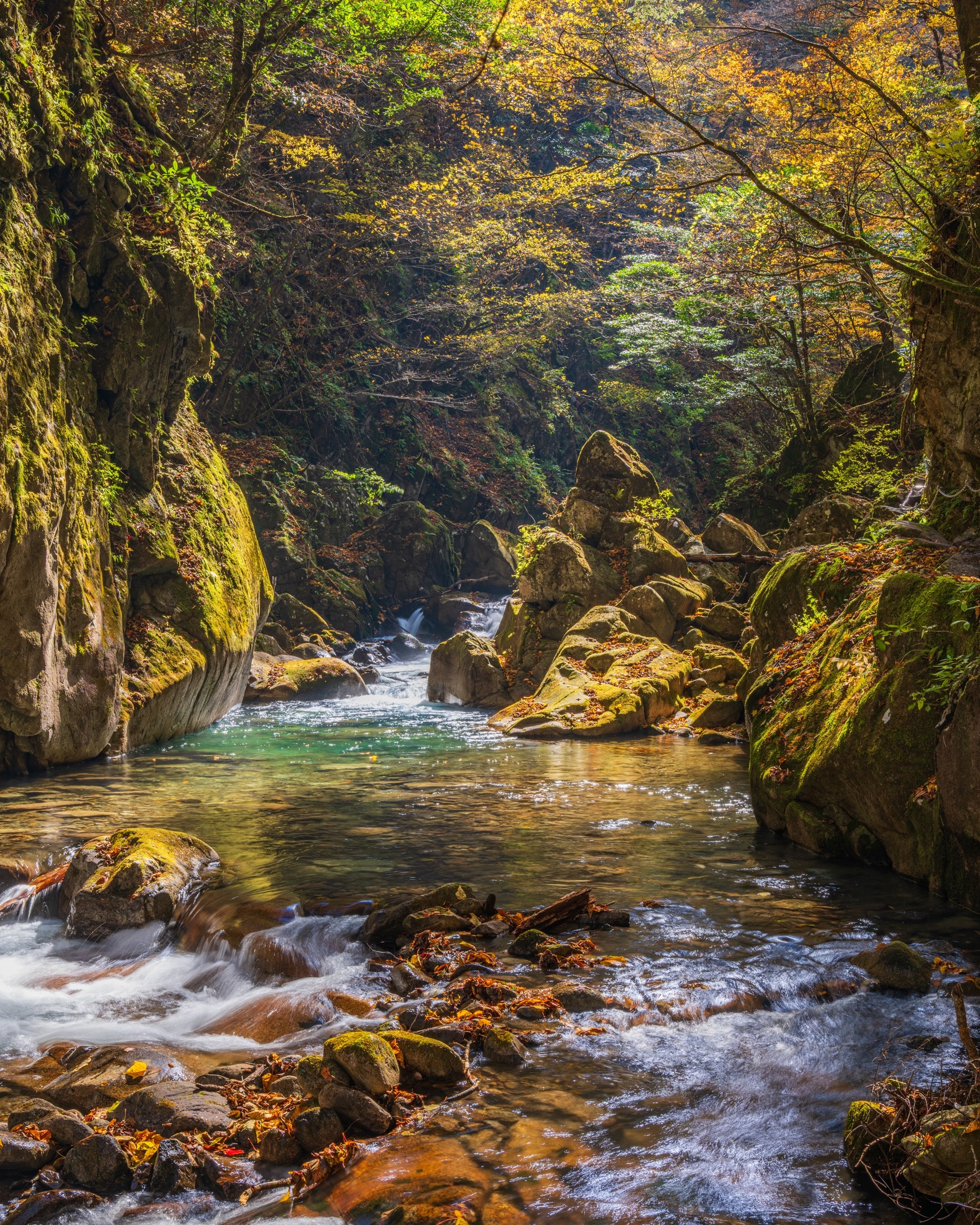 La lumière d’automne atteint un bassin turquoise au fond d’une gorge rocheuse.