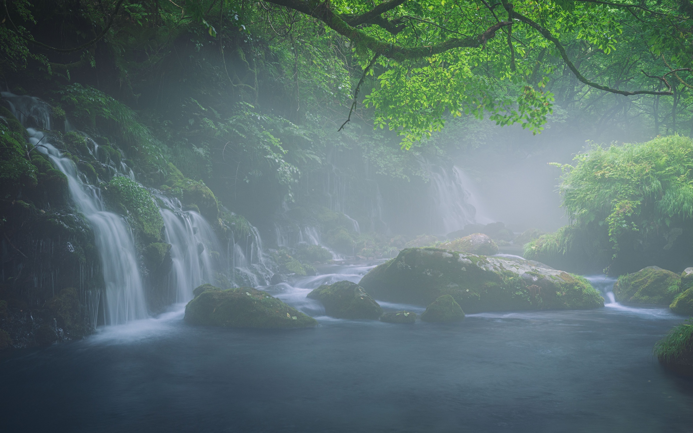 Le silence descend, Akita