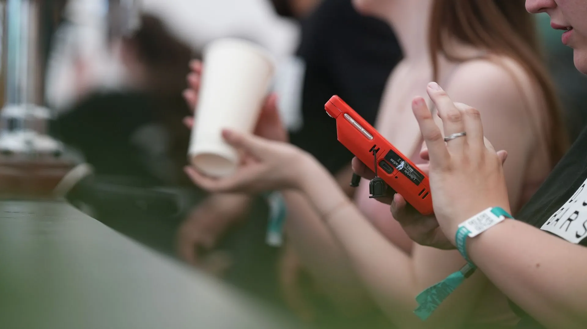 Festival crowd at outdoor event