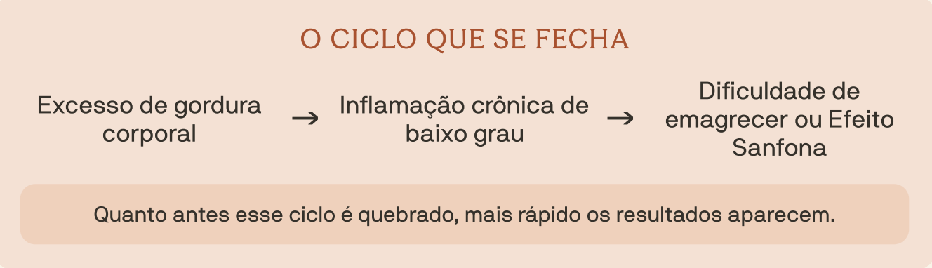O ciclo que se repete
