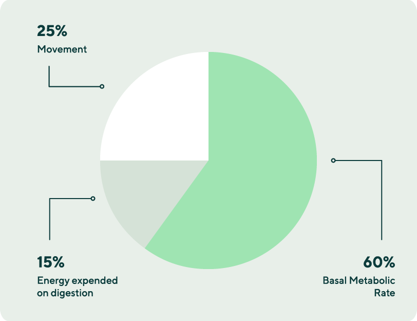 pie chart