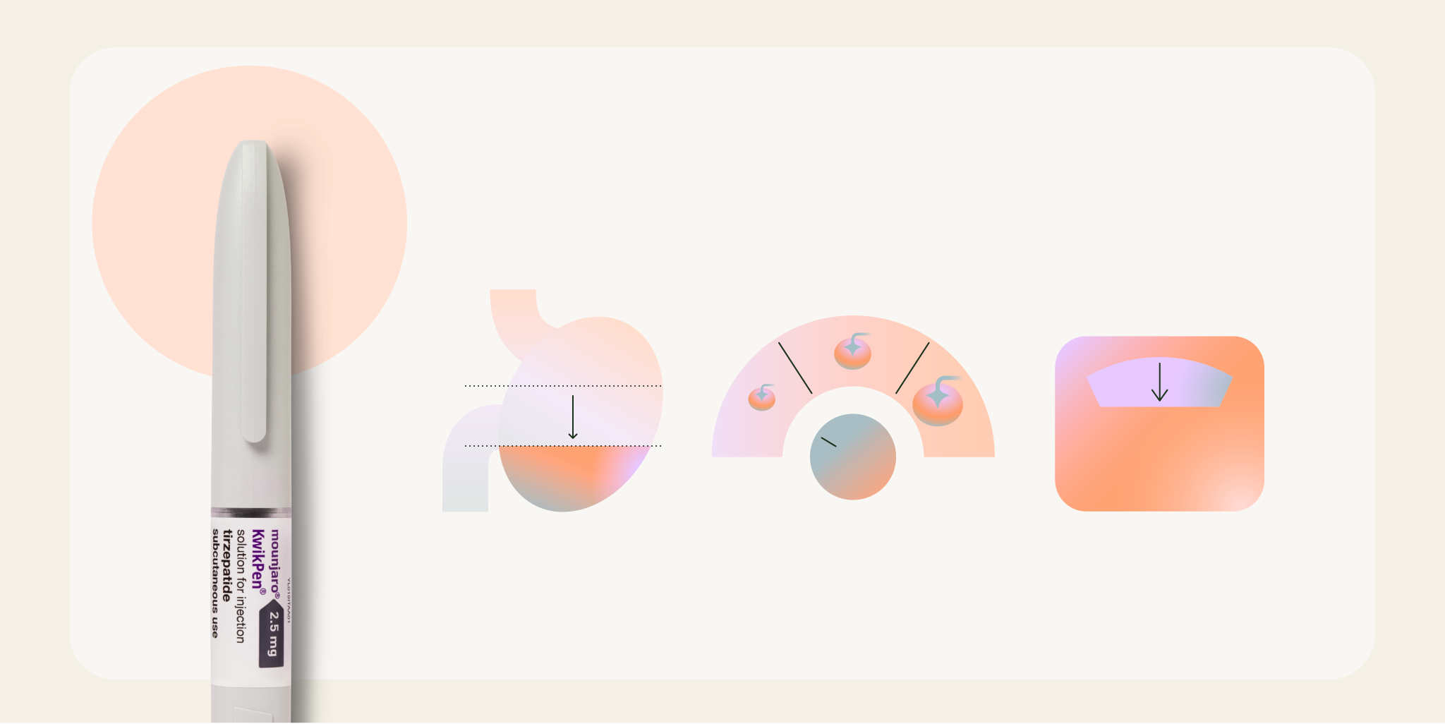 Illustration showing how Mounjaro works, including slowed digestion, reduced appetite, lower food cravings, and gradual weight loss.