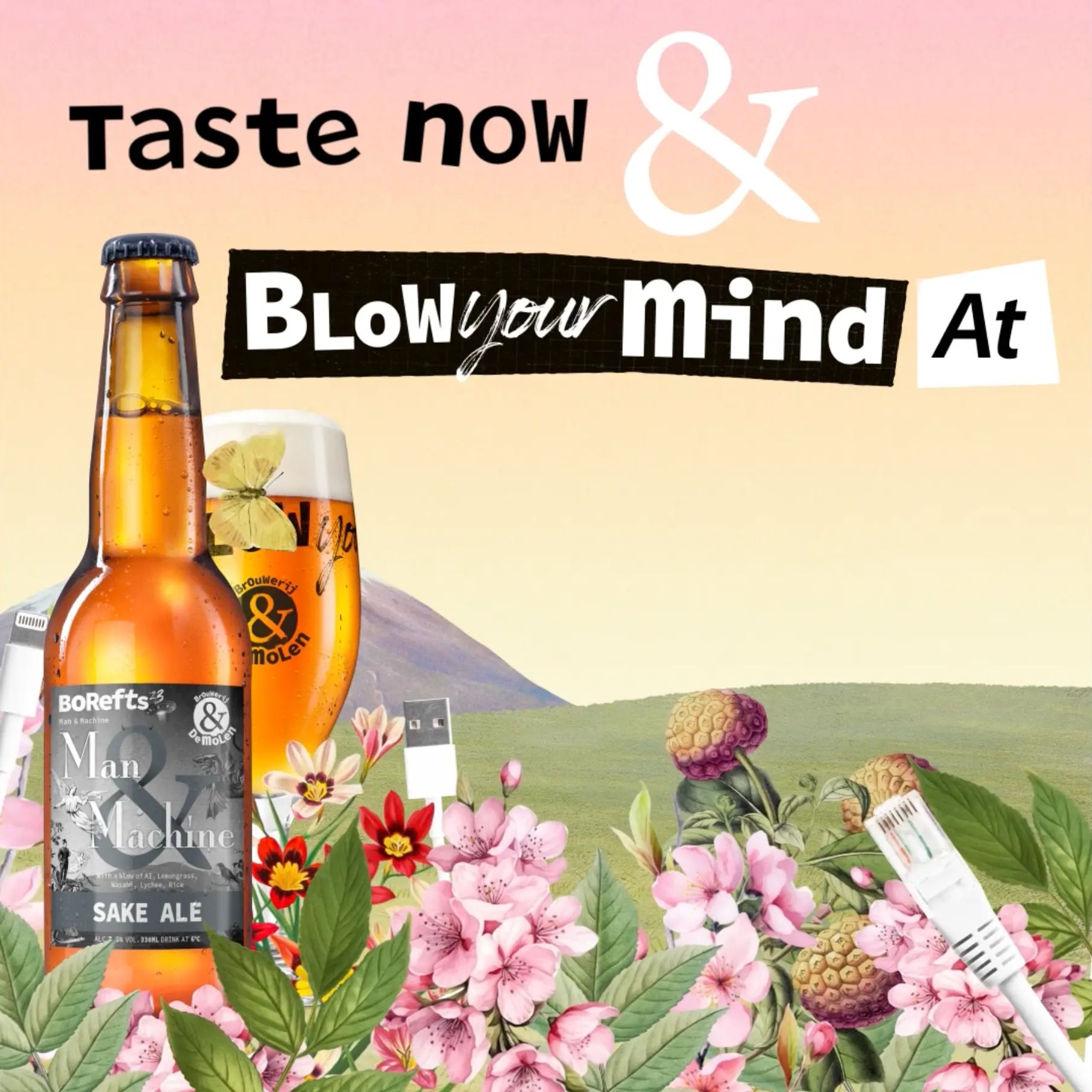 Sake Ale van Brouwerij de Molen