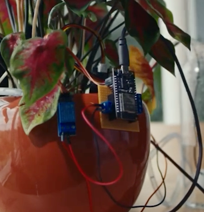 Planten sensor