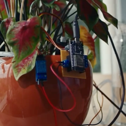 Planten sensor