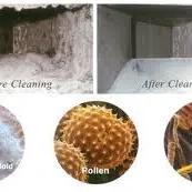 Air duct before and after cleaning, with close-ups of household mold, pollen and dust