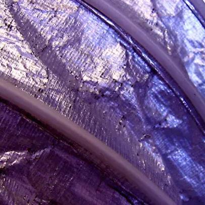 Inside of a purple flexible air duct
