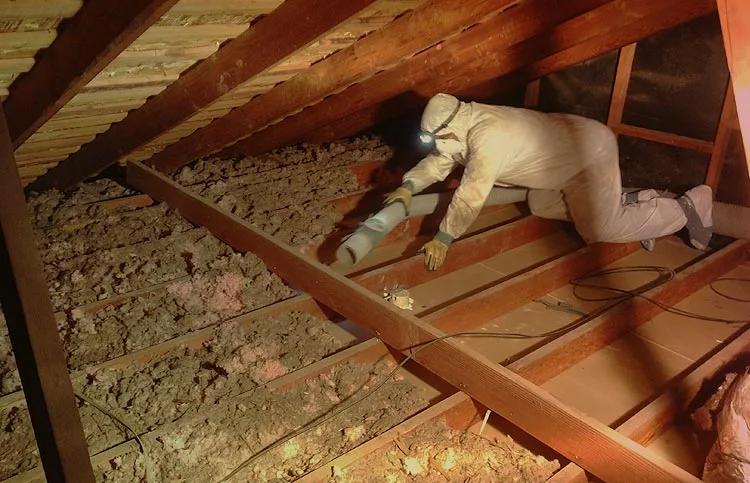 Worker crawling across the joists of a large attic