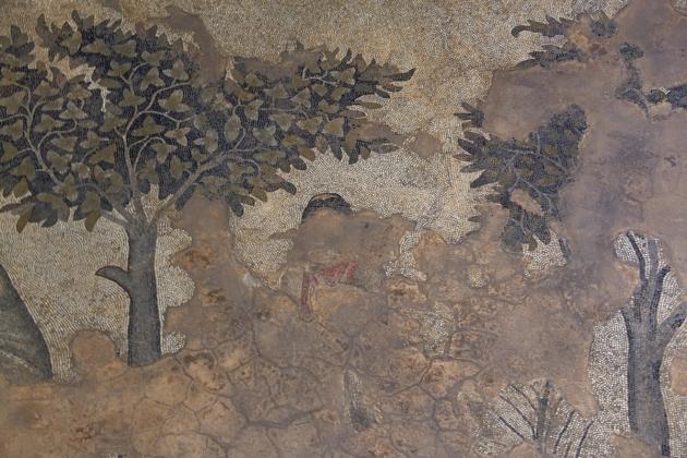 A detail of the Roman-era floor mosaic depicting scenes from the life of Achilles, in situ at the Haleplibahçe Mosaic Museum, Şanlıurfa.