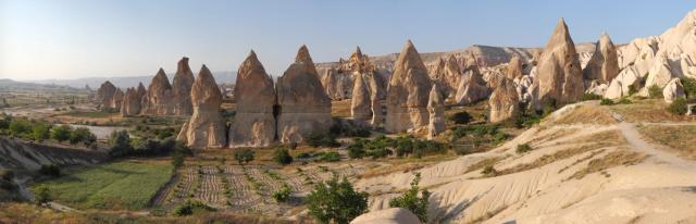 A dense field of tall, cone-shaped fairy-chimney rock formations rising from an orchard valley in Cappadocia, central Turkey.