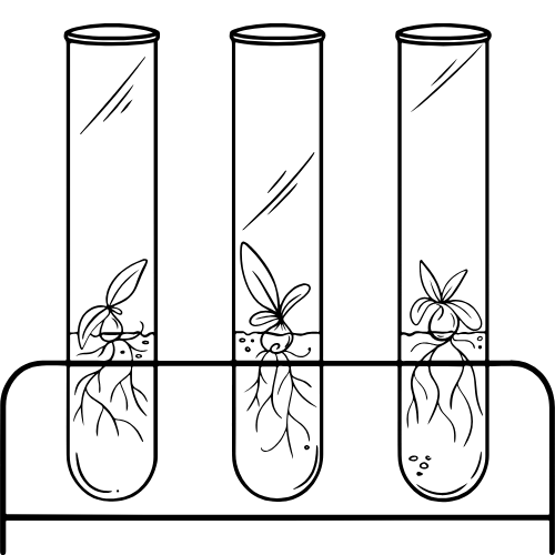 Image of text vials