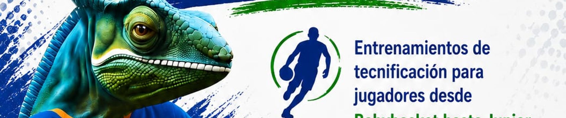 Escuela de Tecnificación de Baloncesto de Verano 2026