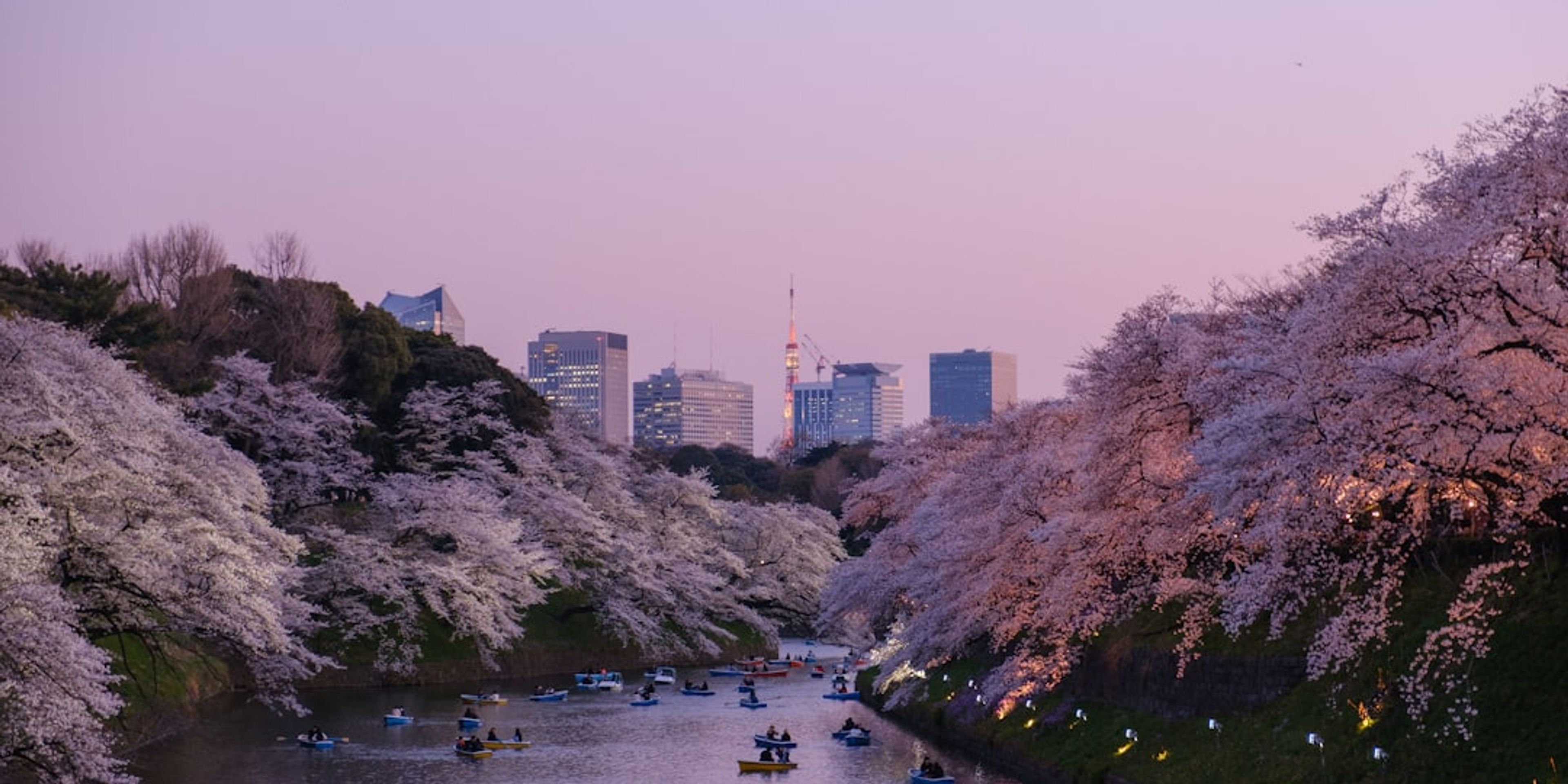 10 Top Places to Visit in Tokyo