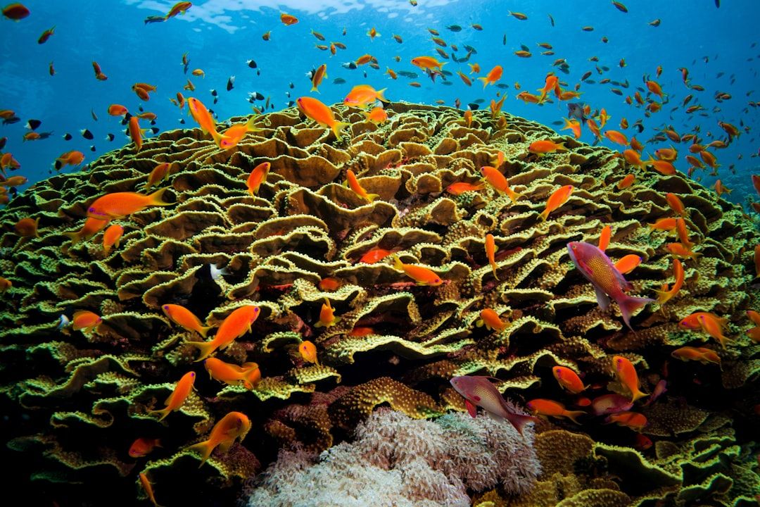 Hurghada Grand Aquarium - Marine Life Without Getting Wet