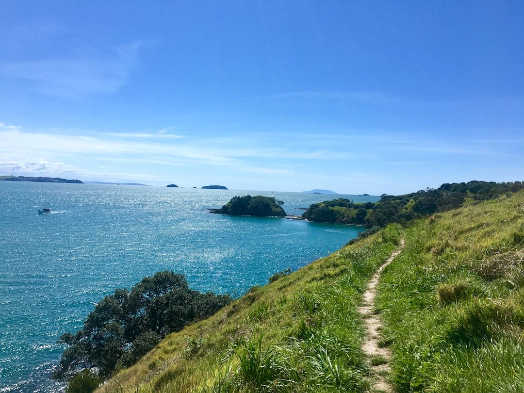 Sunshine Bay Track - The Simplest Bus-and-Walk Combination in Queenstown