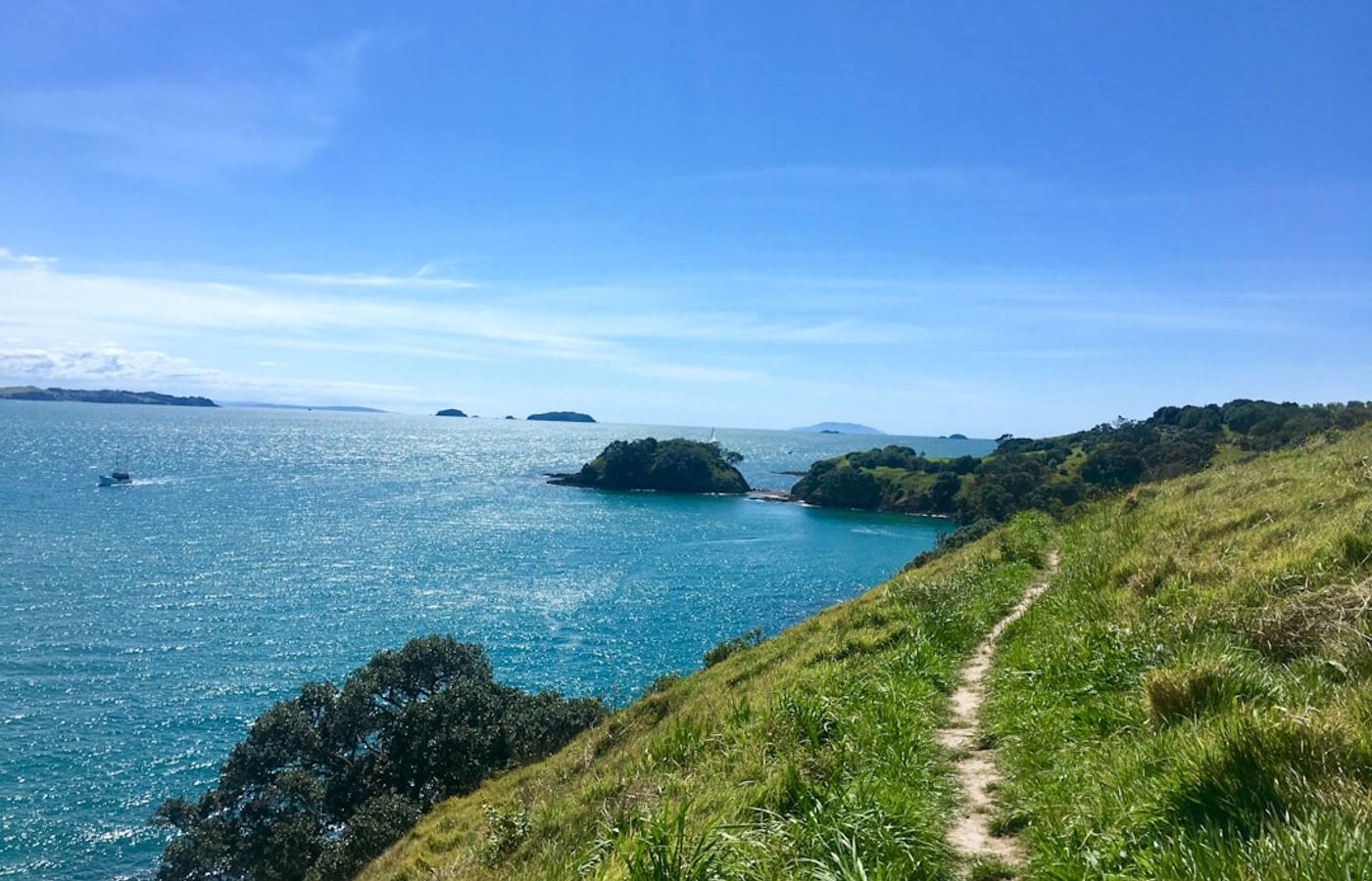 Sunshine Bay Track - The Simplest Bus-and-Walk Combination in Queenstown