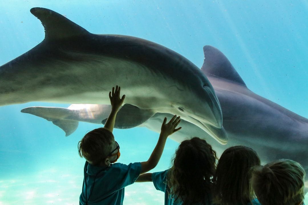 SeaWorld Orlando - Marine Life and Extreme Coasters