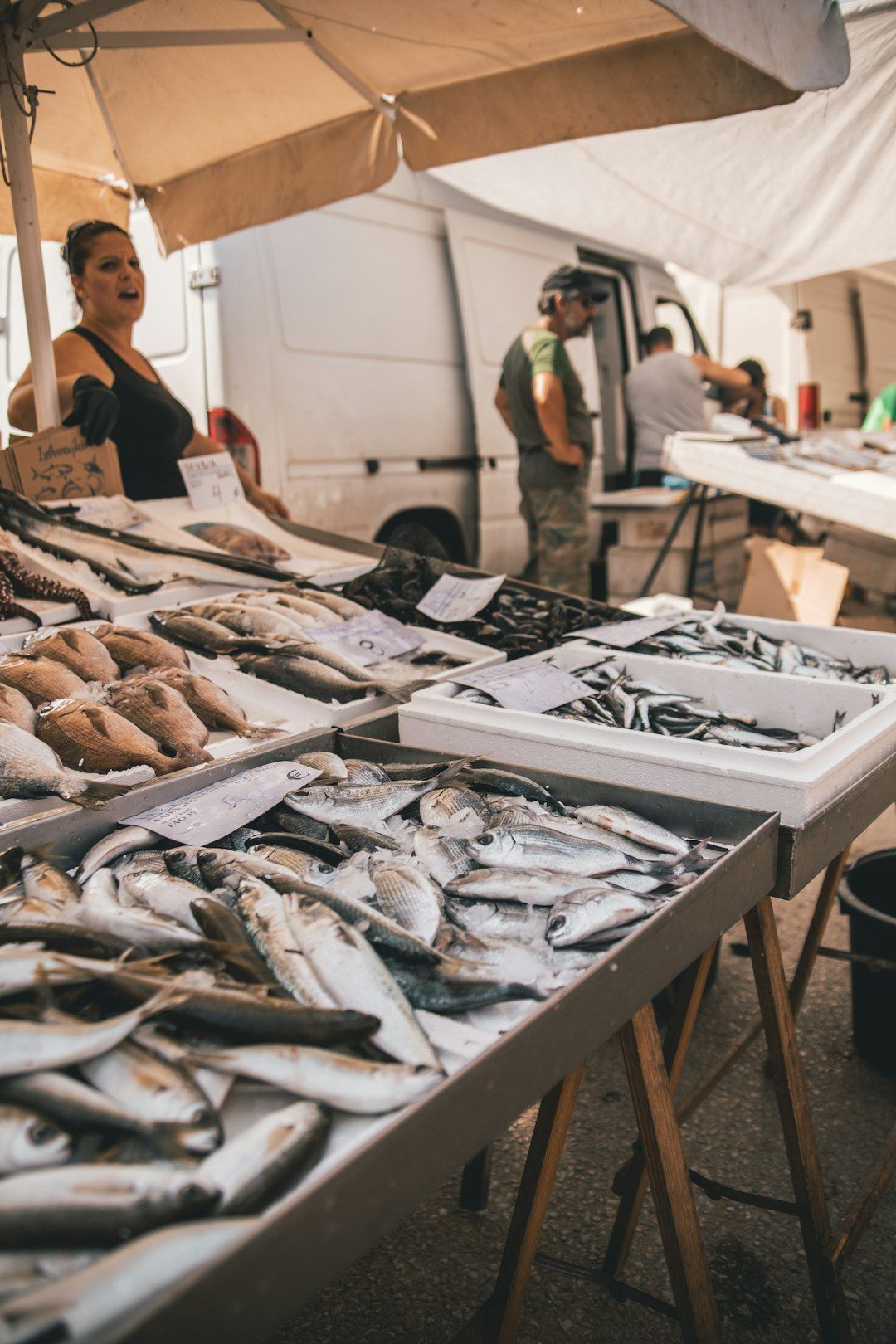 Fischmarkt - The Sunday Morning Fish Market