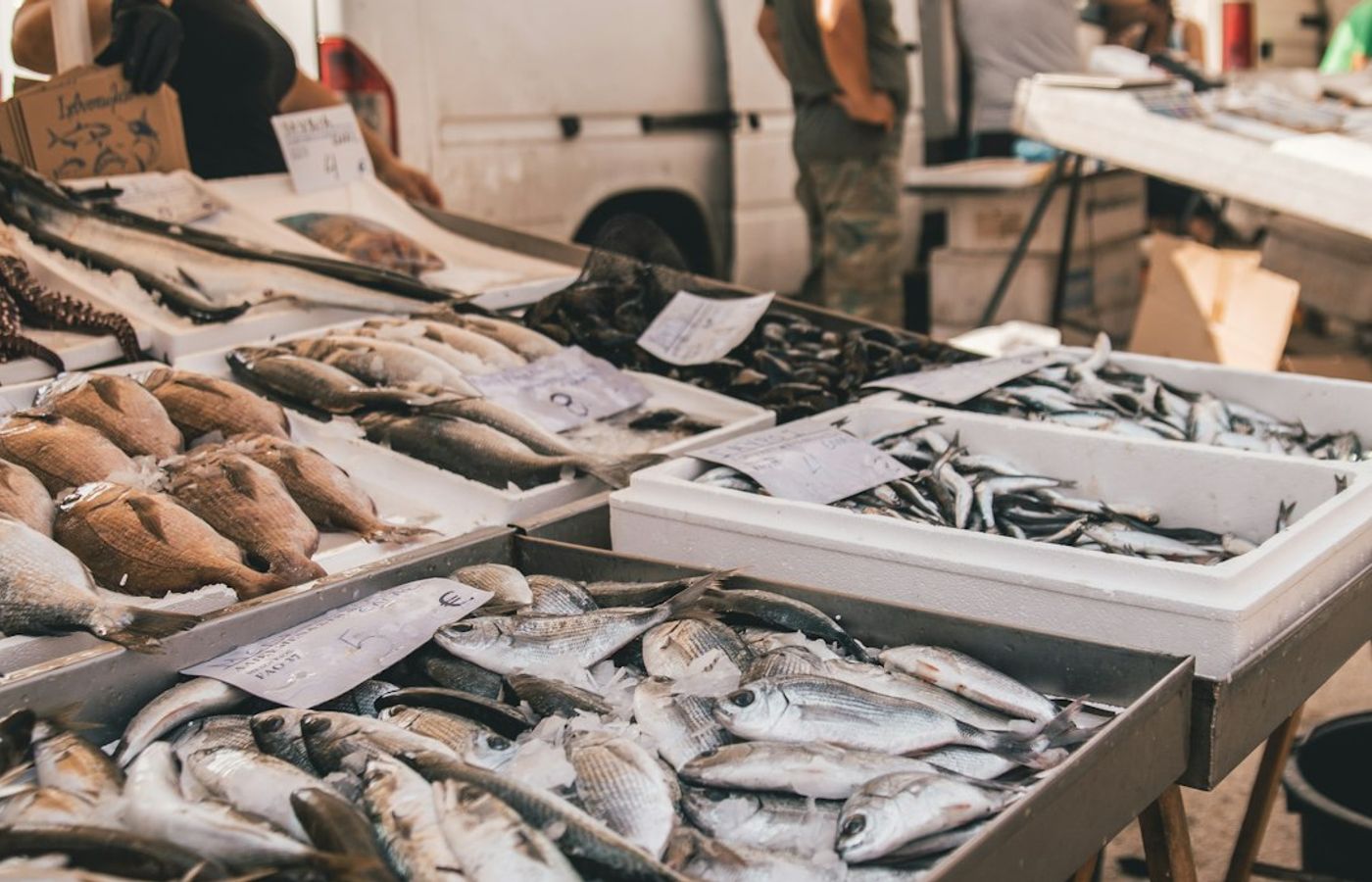 Fischmarkt - The Sunday Morning Fish Market