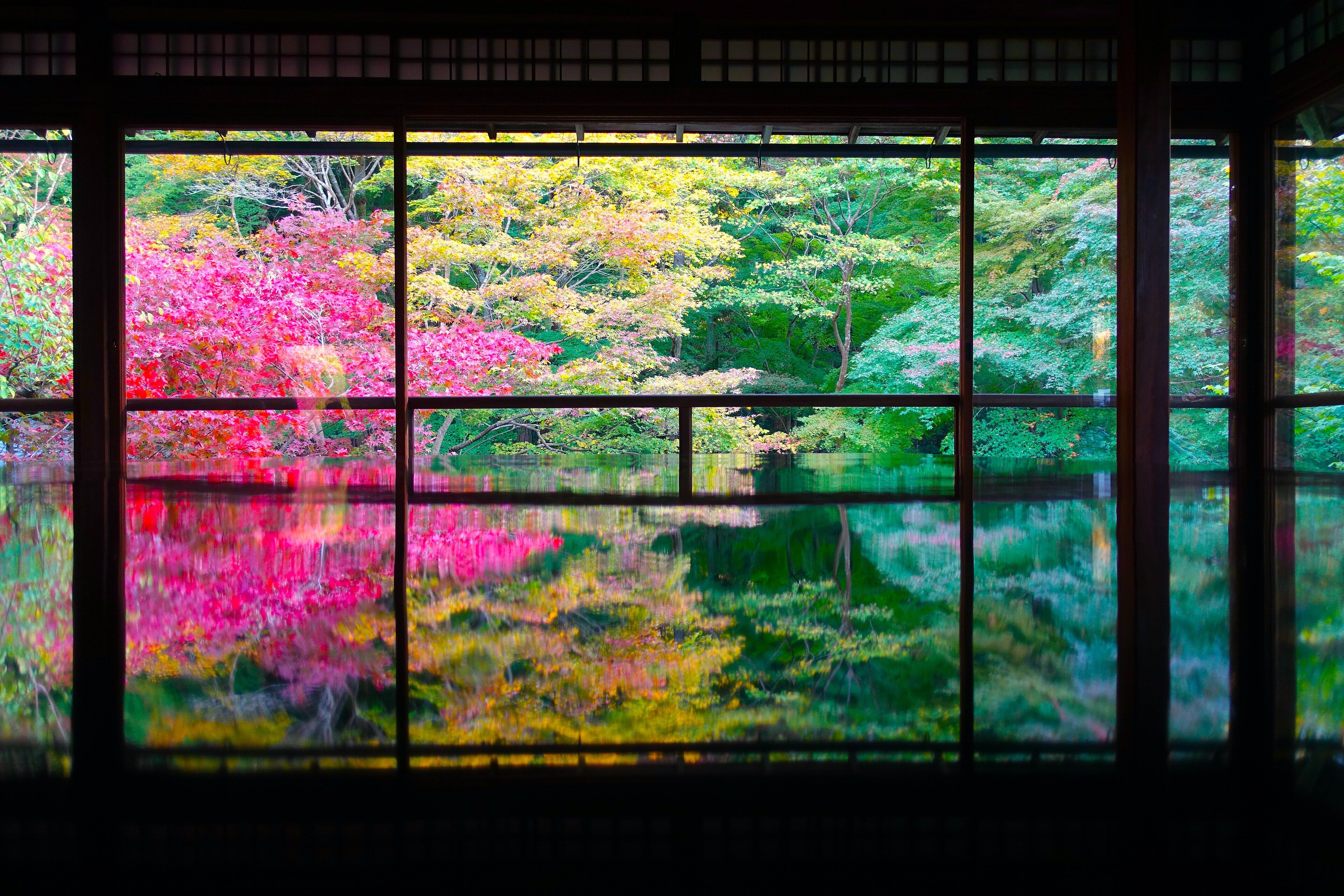 Ruriko-in - The Table Reflection, and the Only Booking You Cannot Skip