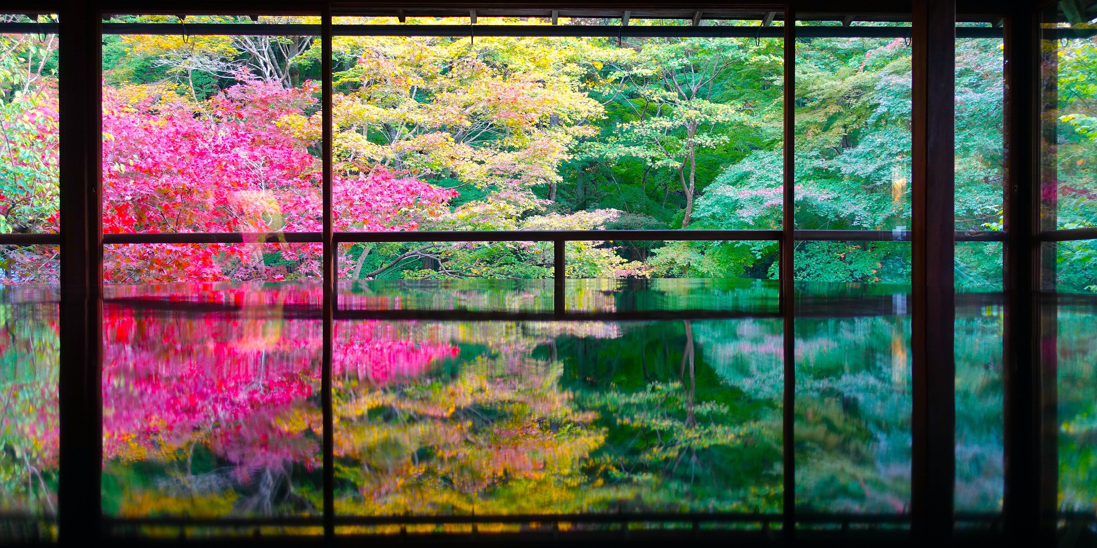 Hotels near Ruriko-in