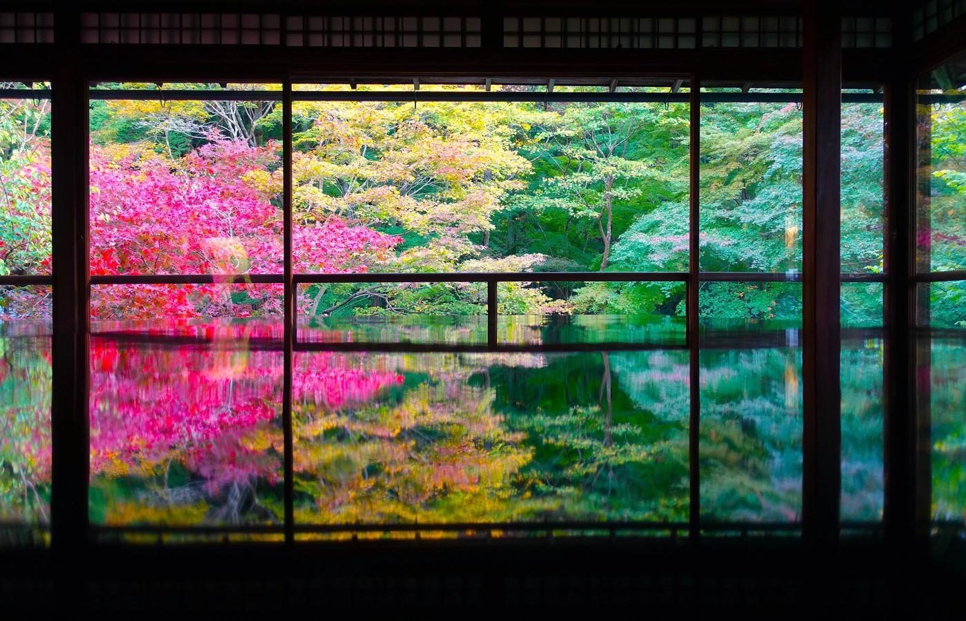Ruriko-in - The Table Reflection, and the Only Booking You Cannot Skip