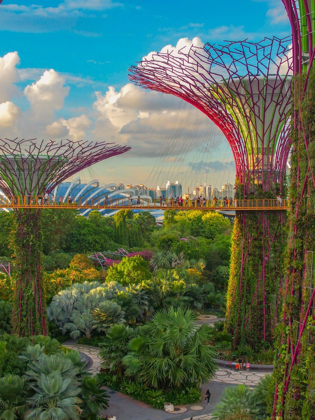 Singapore Botanic Gardens - The UNESCO-Listed Tropical Garden