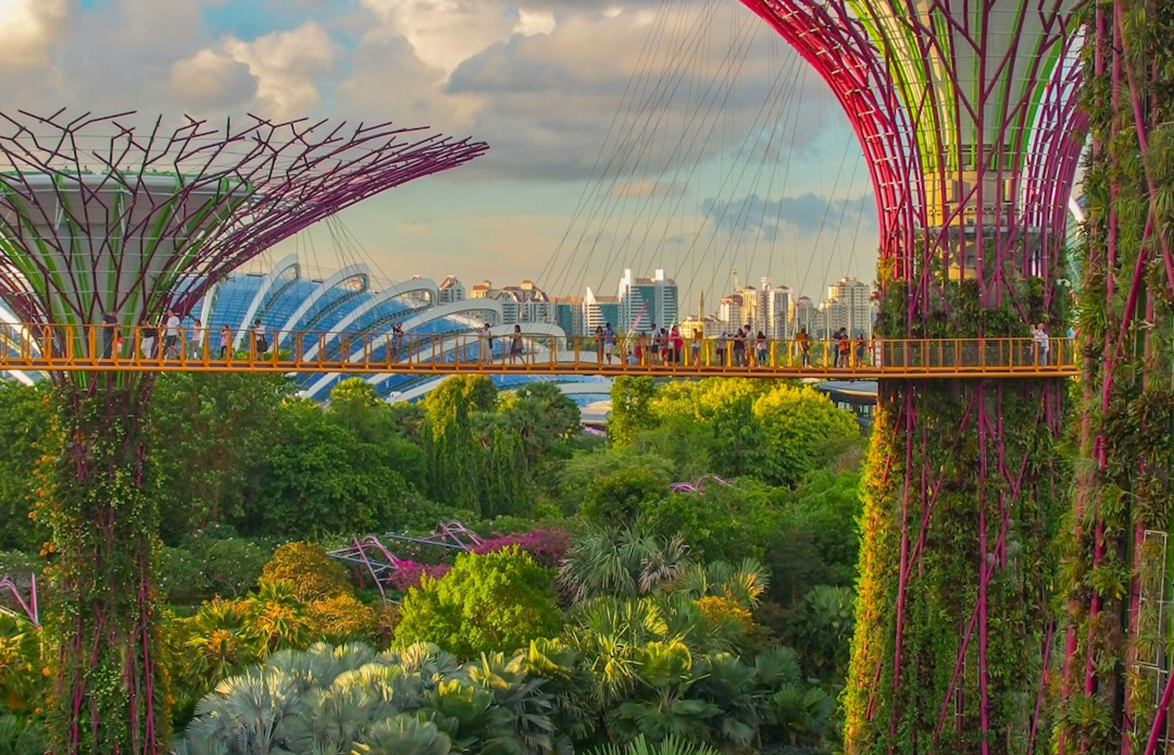 Singapore Botanic Gardens - The UNESCO-Listed Tropical Garden