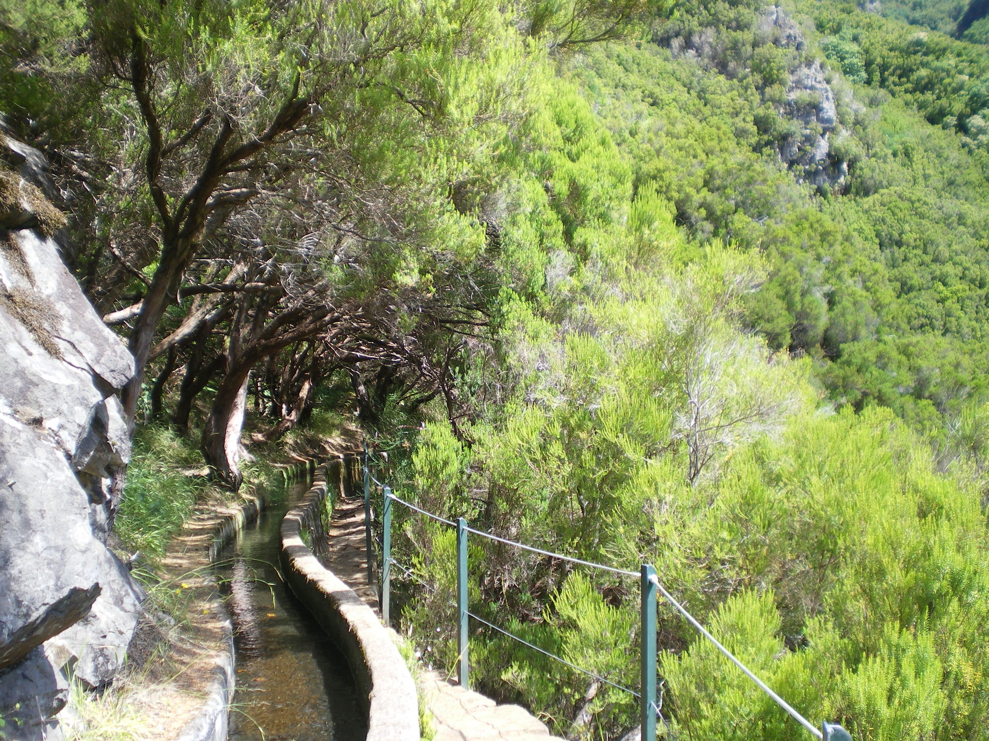 Levada do Caldeirão Verde - The Iconic Levada Walk
