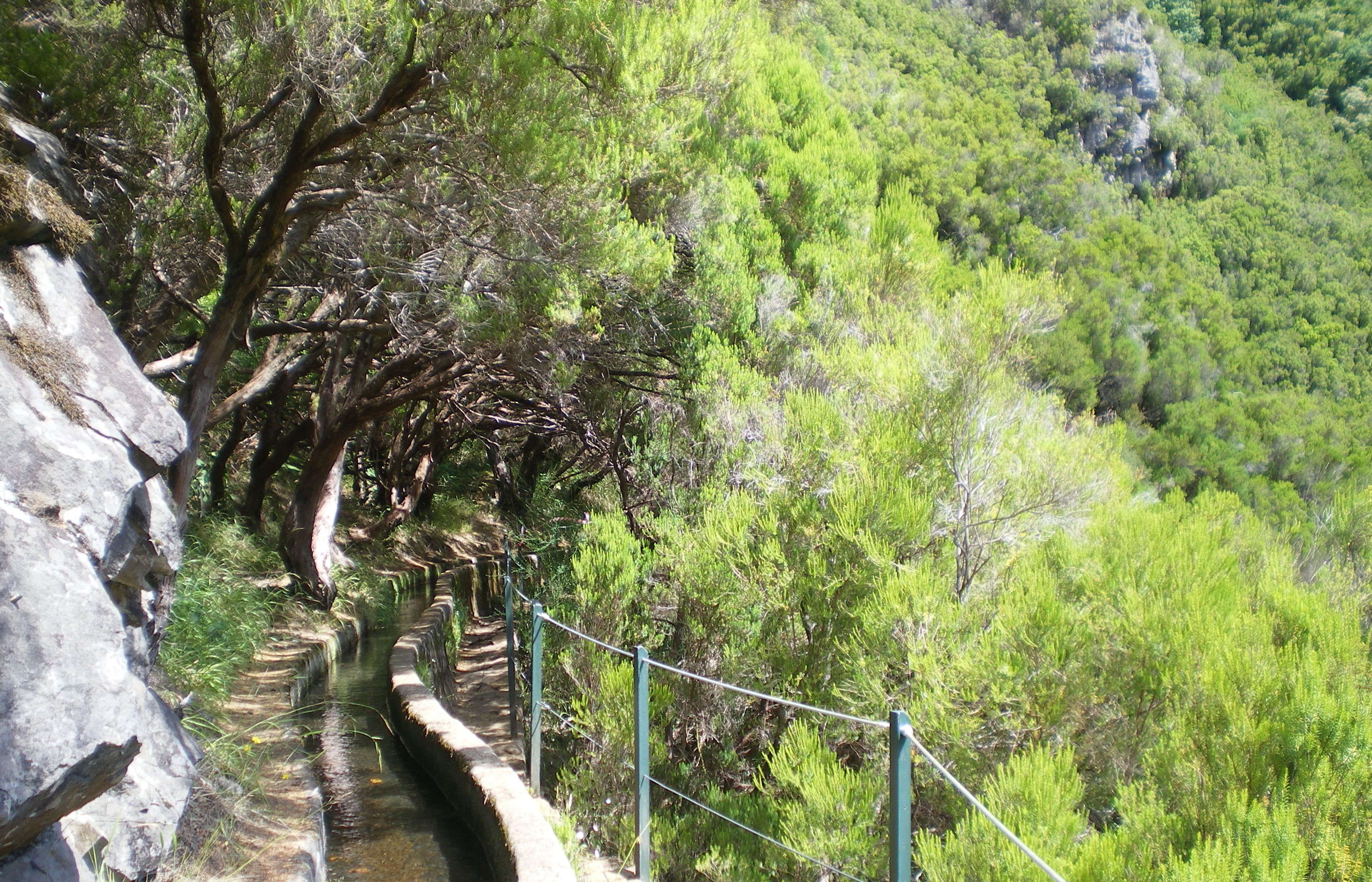 Levada do Caldeirão Verde - The Iconic Levada Walk