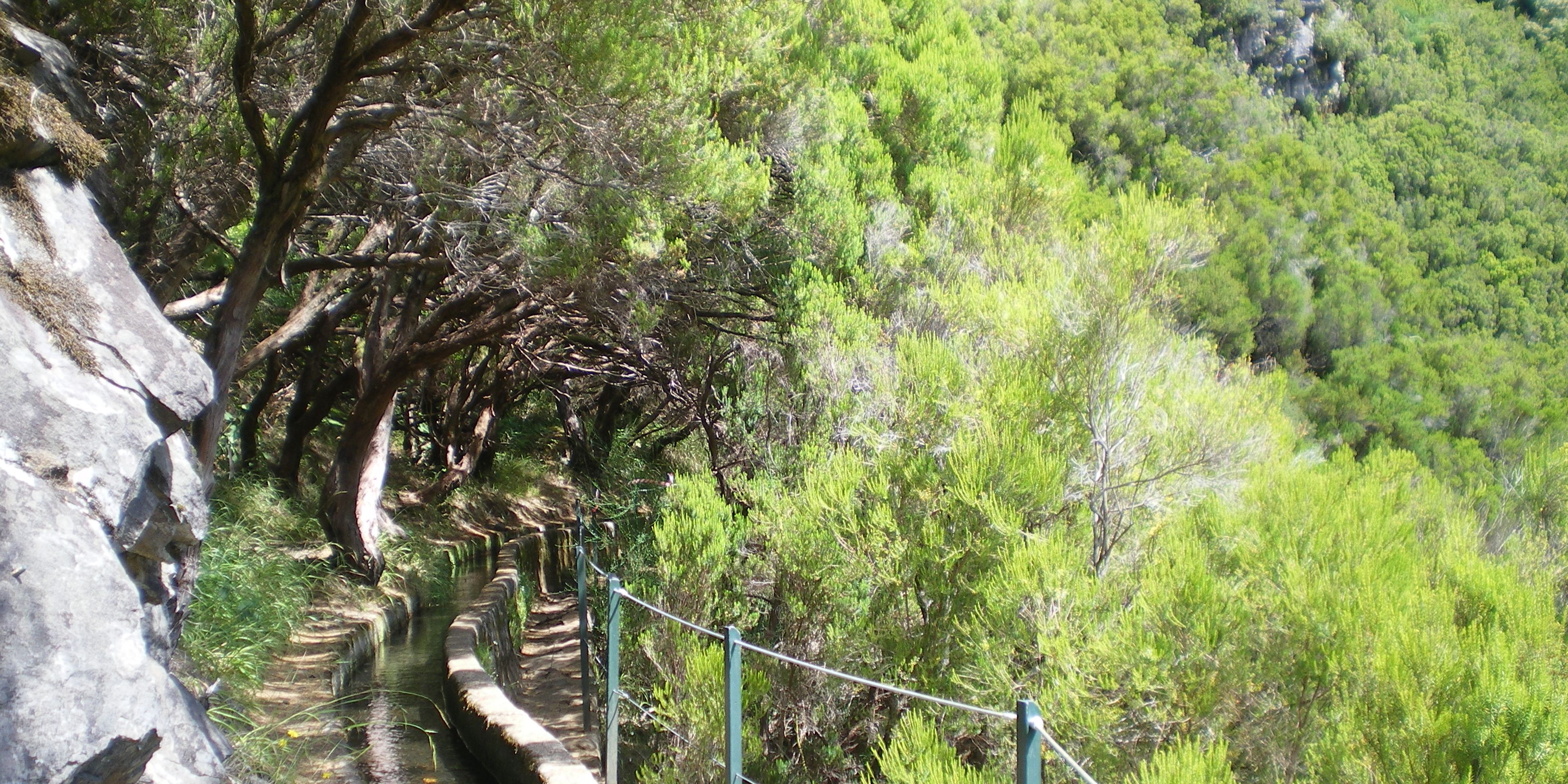 Hotels near Levada do Caldeirão Verde