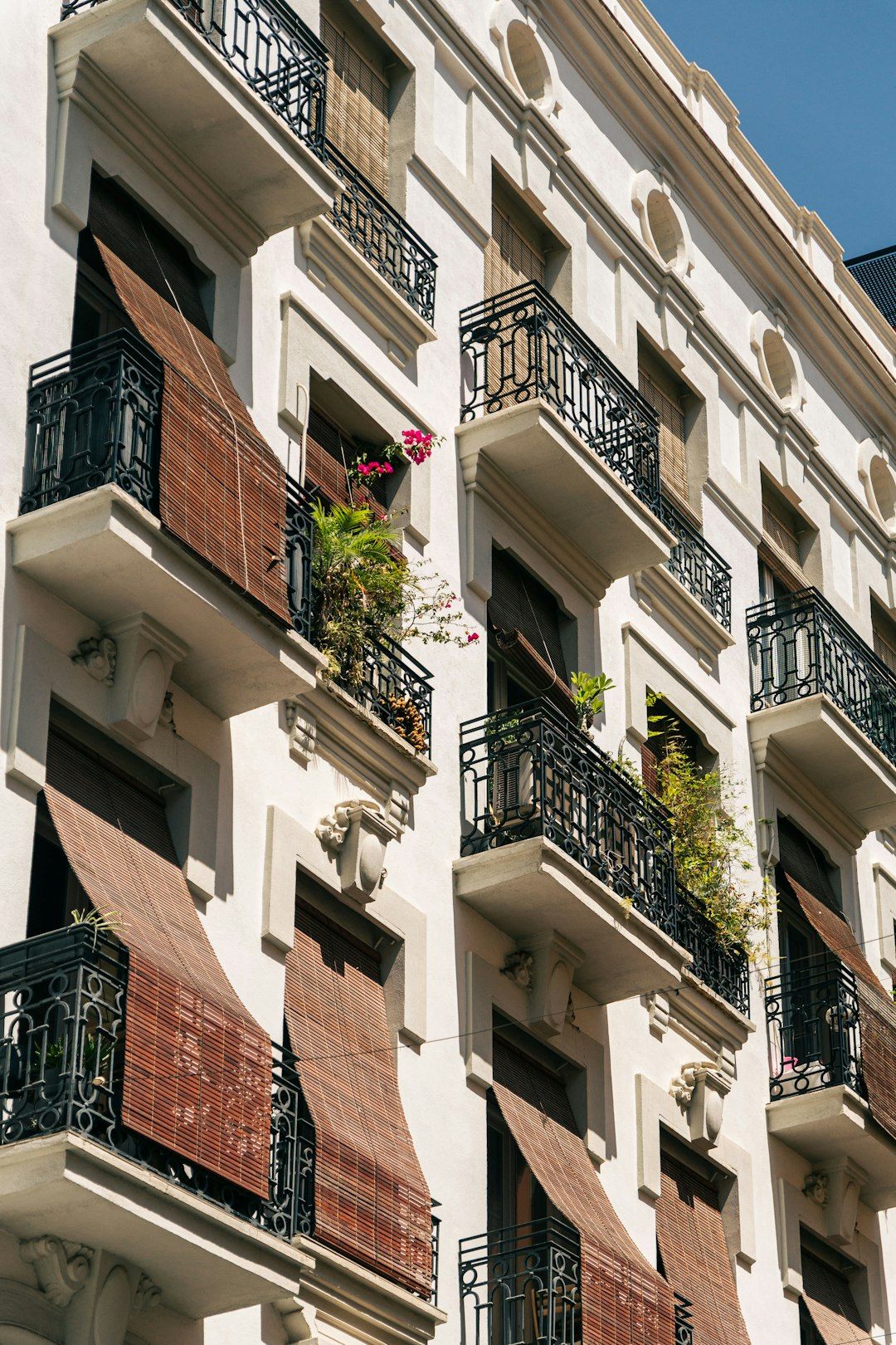 El Carmen - Valencia's Bohemian Old Town Quarter