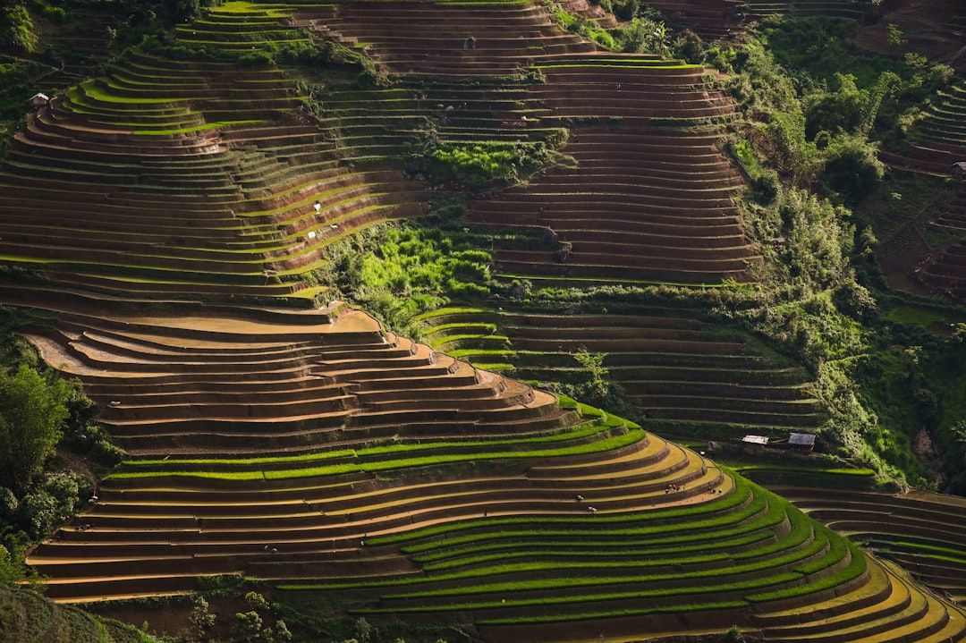 Tegallalang Rice Terraces Walk - Beautiful, and Heavily Commercialised