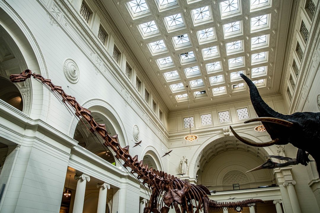 The Field Museum - Dinosaurs and Cultures on the Museum Campus